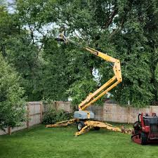 Best Lawn Edging  in Uniontown, AL