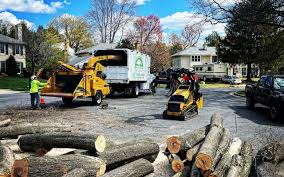 Best Pest Control for Lawns  in Uniontown, AL
