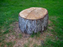 Best Tree Planting  in Uniontown, AL