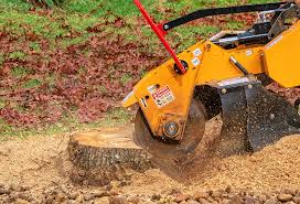 Best Tree Trimming and Pruning  in Uniontown, AL