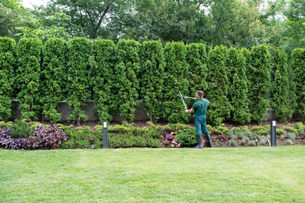 Lawn Maintenance Plans in Uniontown, AL