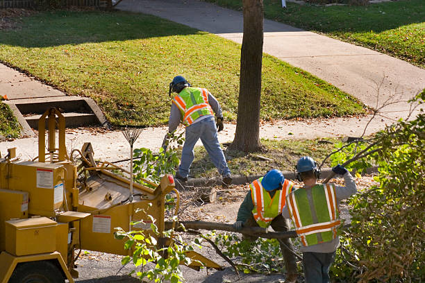 Best Lawn Maintenance Plans  in Uniontown, AL